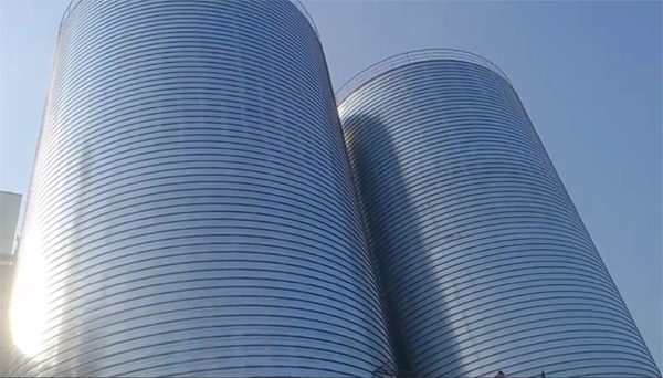 丰县2座混凝土高架卷板仓